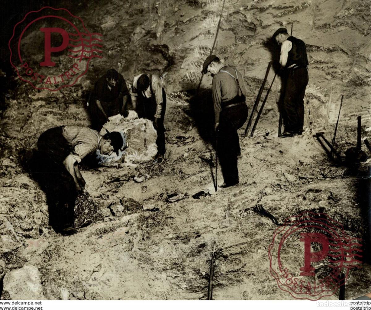 Fotografia antica: PRODUCING SALT IN IRELAND IRLANDA BLASTING PREPARATION MINE MINA MINIERE BERGBAU 21*17CM Fonds Vic