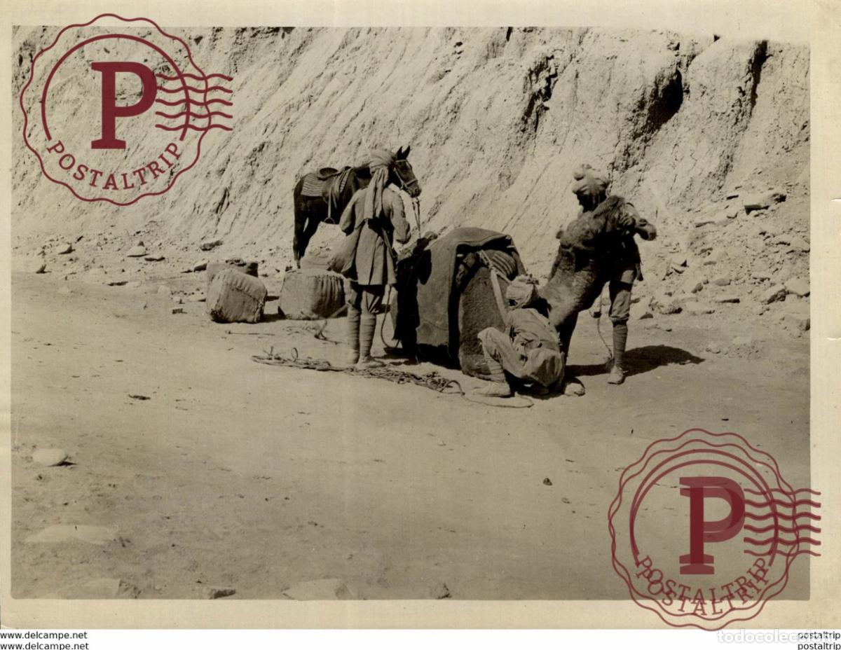 Fotografia antica: CAMEL 21*16CM Fonds Victor FORBIN 1864-1947