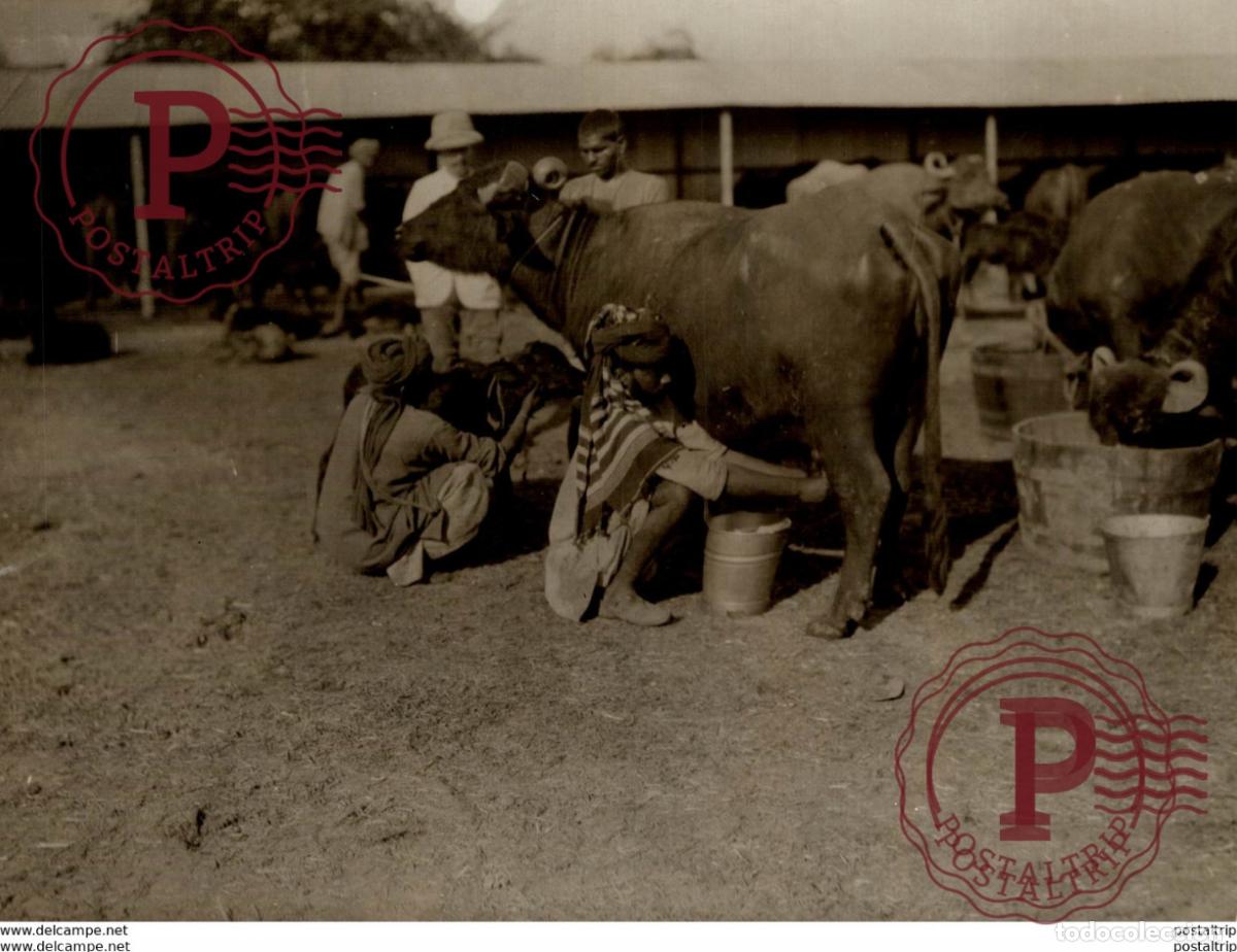 Fotografia antica: INDE INDIA DUNBAR CAMP AT DELHI BRITISH 21*16CM Fonds Victor FORBIN 1864-1947