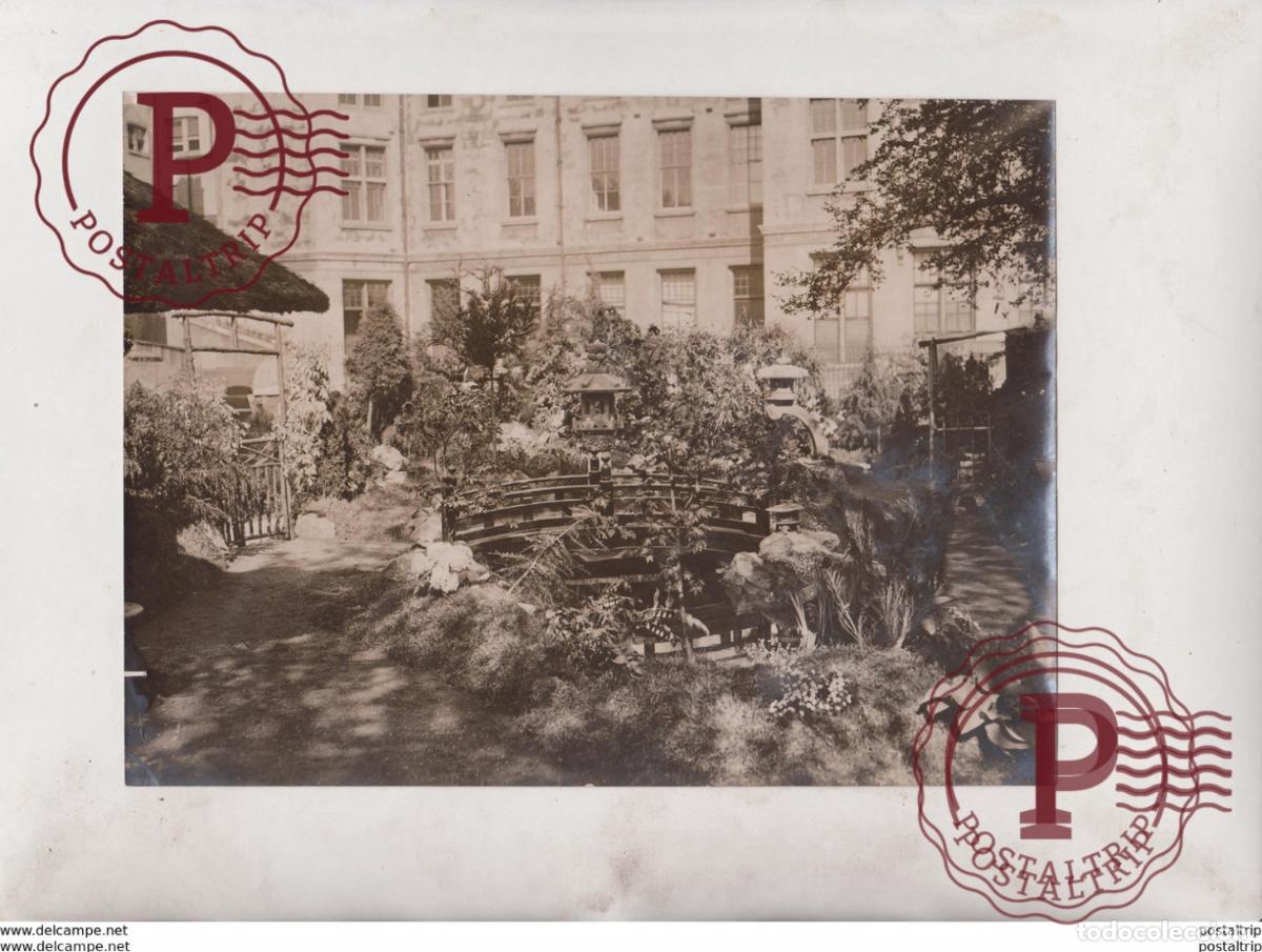 Alte Fotografie: TEMPLE FLOWER SHOW PLANTS GARDENS 21*16 CM Fonds Victor FORBIN 1864-1947