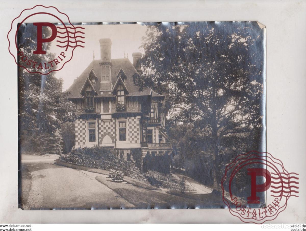 Alte Fotografie: VIE A LA CAMPAGNE FLOWER PLANTS GARDENS 24*18 CM Fonds Victor FORBIN 1864-1947