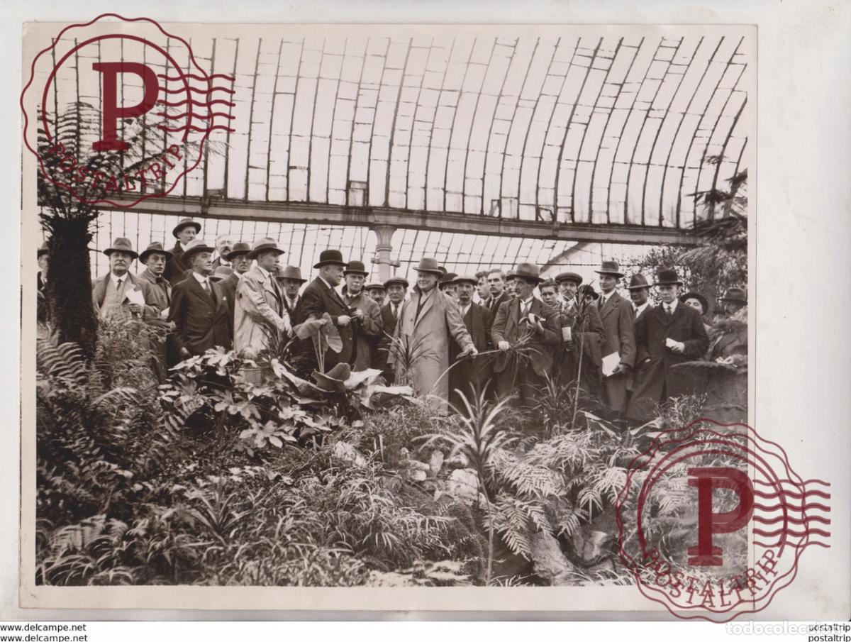 Alte Fotografie: ROYAL BOTANIC GARDENS REGENTS PARK SALE OF PLANTS FLOWER PLANTS GARDENS 25*20CM Fonds Victor FORBI