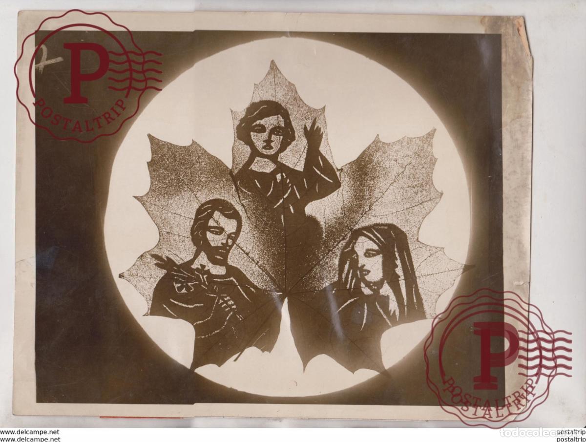 Alte Fotografie: CHRISTIAN BROTHER BROTHERHOOD RETREAT WALTHAM MASS IMAGES ON LEAVES RETREAT BIRD 25*20CM Fonds Vic