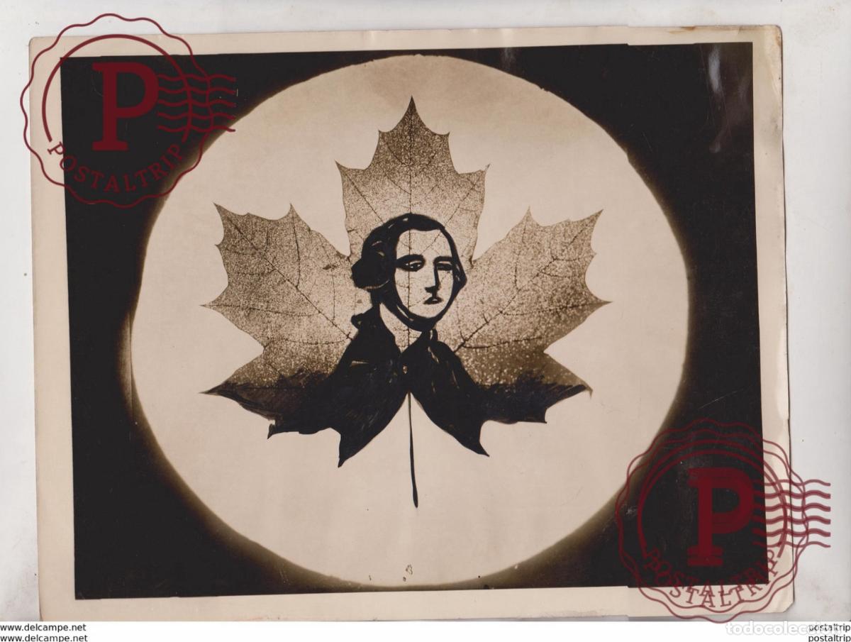 Fotograf&iacute;a antigua: CHRISTIAN BROTHER BROTHERHOOD RETREAT WALTHAM MASS IMAGES ON LEAVES RETREAT BIRD 25*20CM Fonds Vic