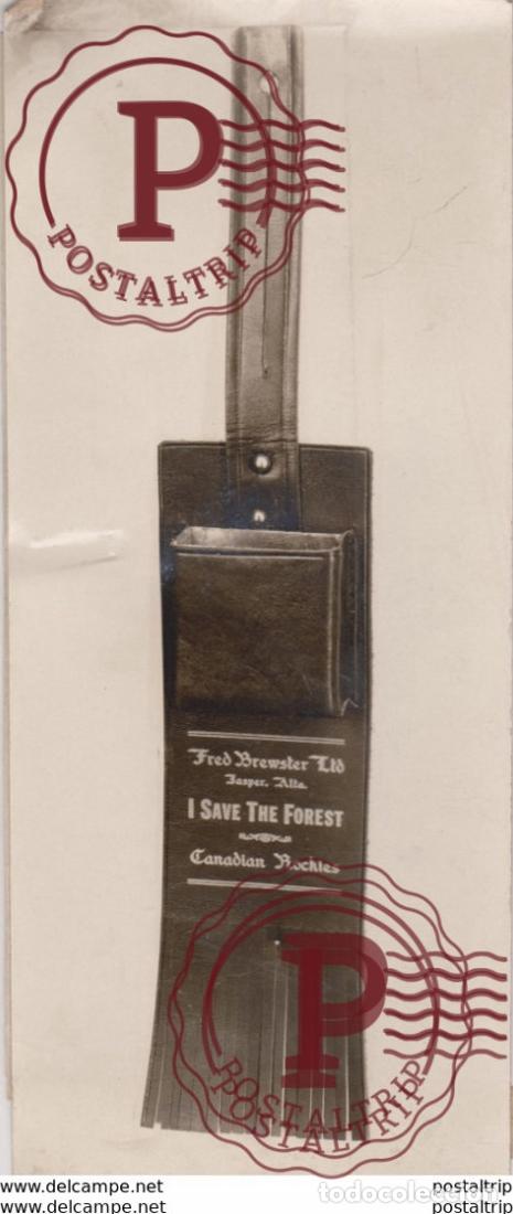 Antique Photography: I SAVE THE FOREST CANADIAN ROCKIES FEUX DE FOR&Ecirc;TS FUMEURS PAR xylology, forestry 24*10 CM Fonds Vic
