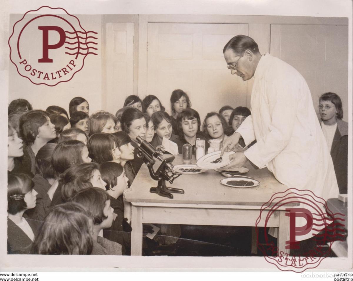 Fotografia antiga: NEW HALL OF HEALTH INTERESTING DEMONSTRATIONS CLEAN KITCHEN INSTITUTE OF HYGIENE P 20*15CM Fonds Vic