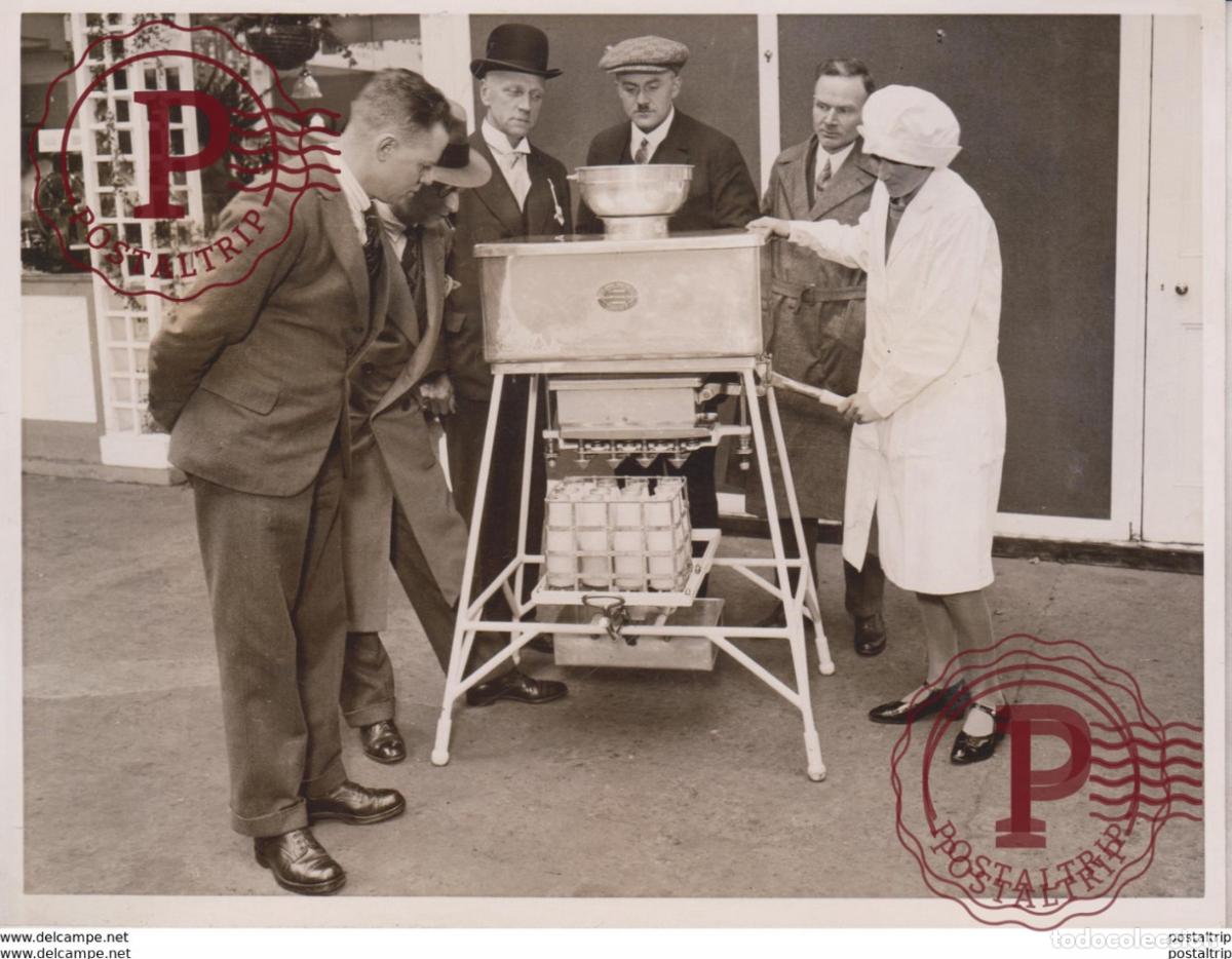 Fotografia antiga: MULTIFILLER DAIRY SHOW UNITED NATIONAL ENGINEERING CARDIFF MILK CATTLE VACHE COW 20*15CM Fonds Vic