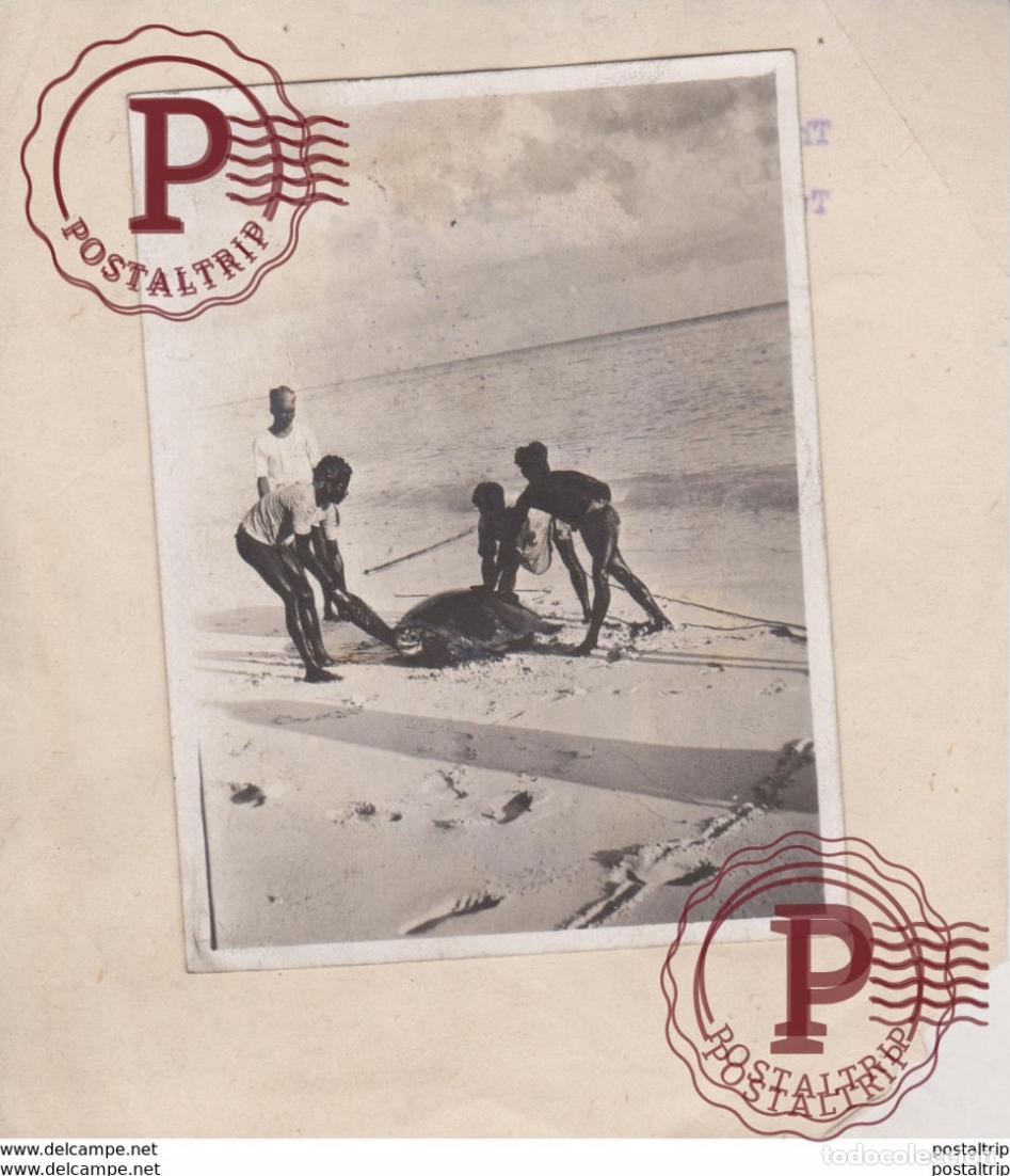 Fotografia antiga: South Sentinel Island Andaman Islands Bay of Bengal FIRST CATCH TURTLE INDE INDIA 10*8CM Fonds Vict