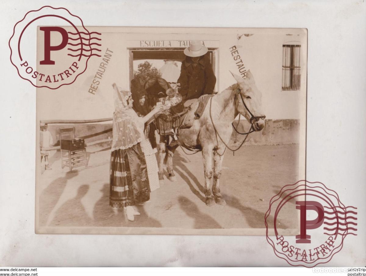 Fotografia antiga: RESTAURANTE ESCUELA TALLER MILKMAN SEVILLA ESPA&Ntilde;A SUNNY SPAIN DONKEY 21*16CM Fonds Victor FORBIN 1