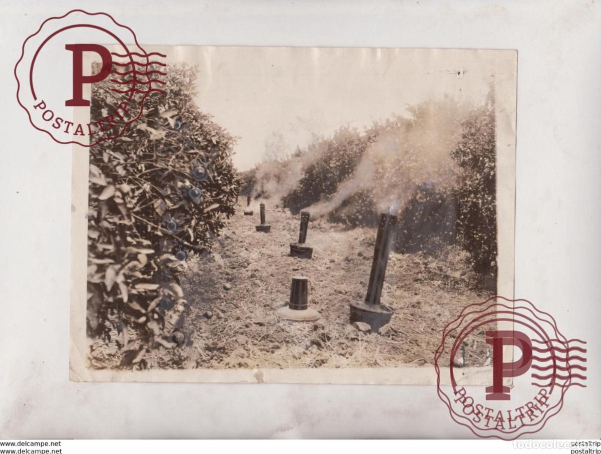 Fotografia antiga: SMOKE AGAINST BUGS 21*16CM Fonds Victor FORBIN 1864-1947