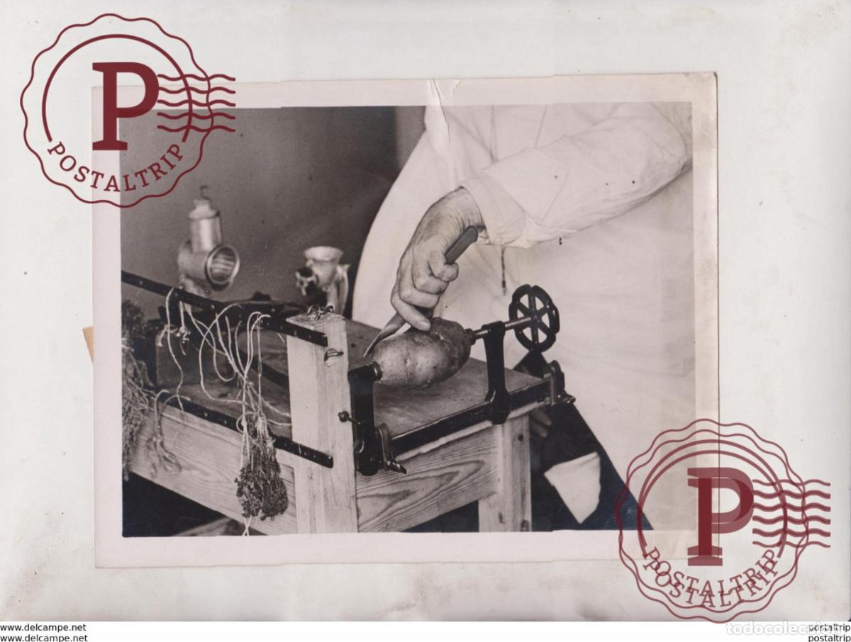 Fotografia antiga: COOKING WITH ONE HAND DISABLED SOLDIERS COOK MEDICAL OFFICERS OF HEALTH 20*15CM Fonds Victor FORB