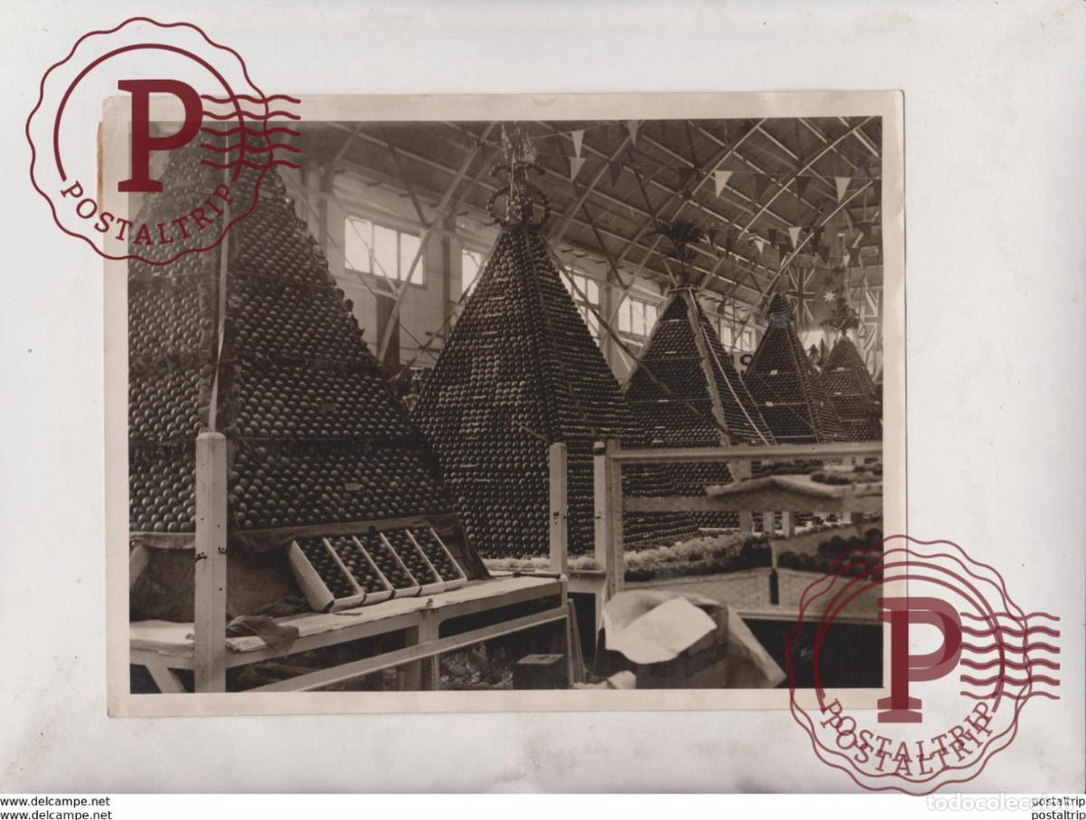 Fotografia antiga: FRUIT PAVILION ROYAL AGRICULTURAL SOCIETY SHOW SYDNEY AUSTRALIA APPLES 21*16CM Fonds Victor FORBIN