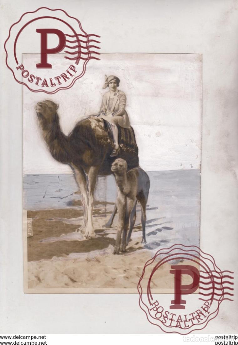 Alte Fotografie: CAMEL CHAMEAUX DROMADAIRES 21*16CM Fonds Victor FORBIN 1864-1947