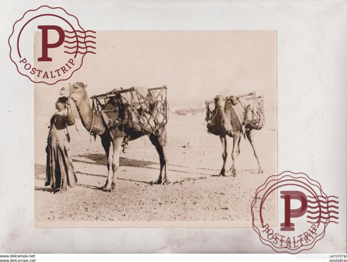 Fotograf&iacute;a antigua: WATER CARRIERS EGYPT EGYPTE EGIPTO RIVER NILE CAMEL CHAMEAUX DROMADAIRES 20*15CM Fonds Victor FORBI