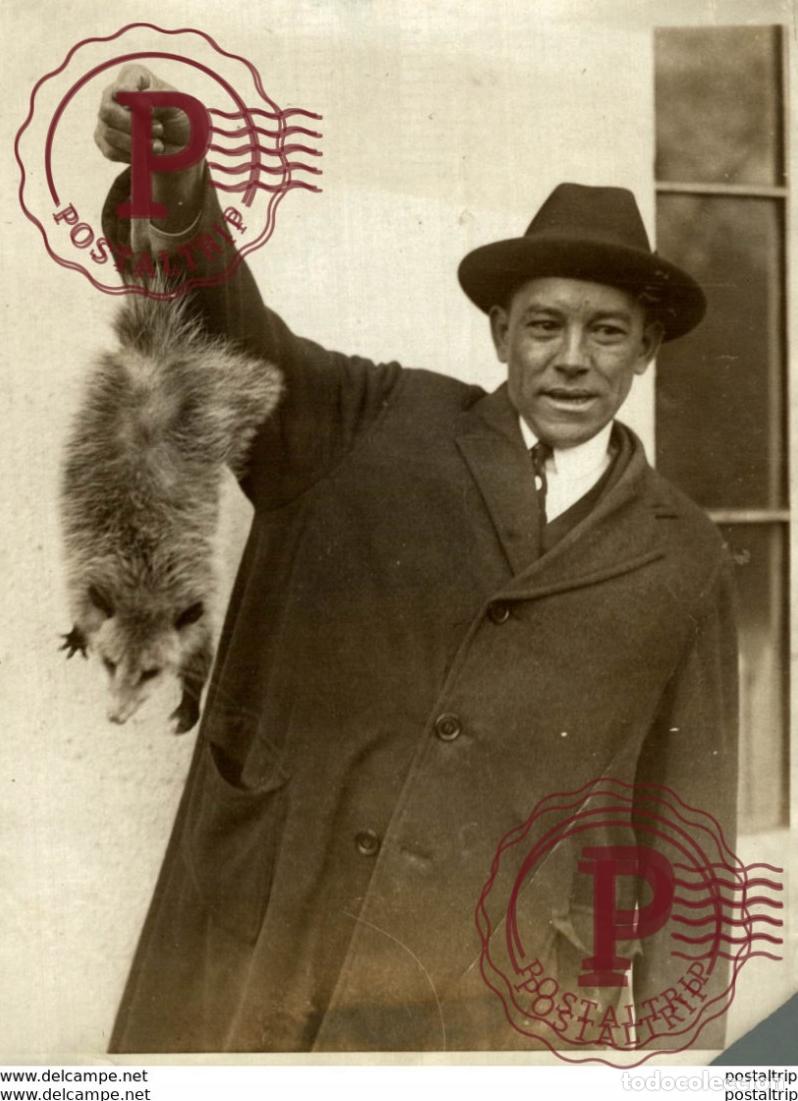 Fotograf&iacute;a antigua: SEE CORNER ANIMAUX ANIMALS ANIMALES 20*15 CM Fonds Victor FORBIN 1864-1947