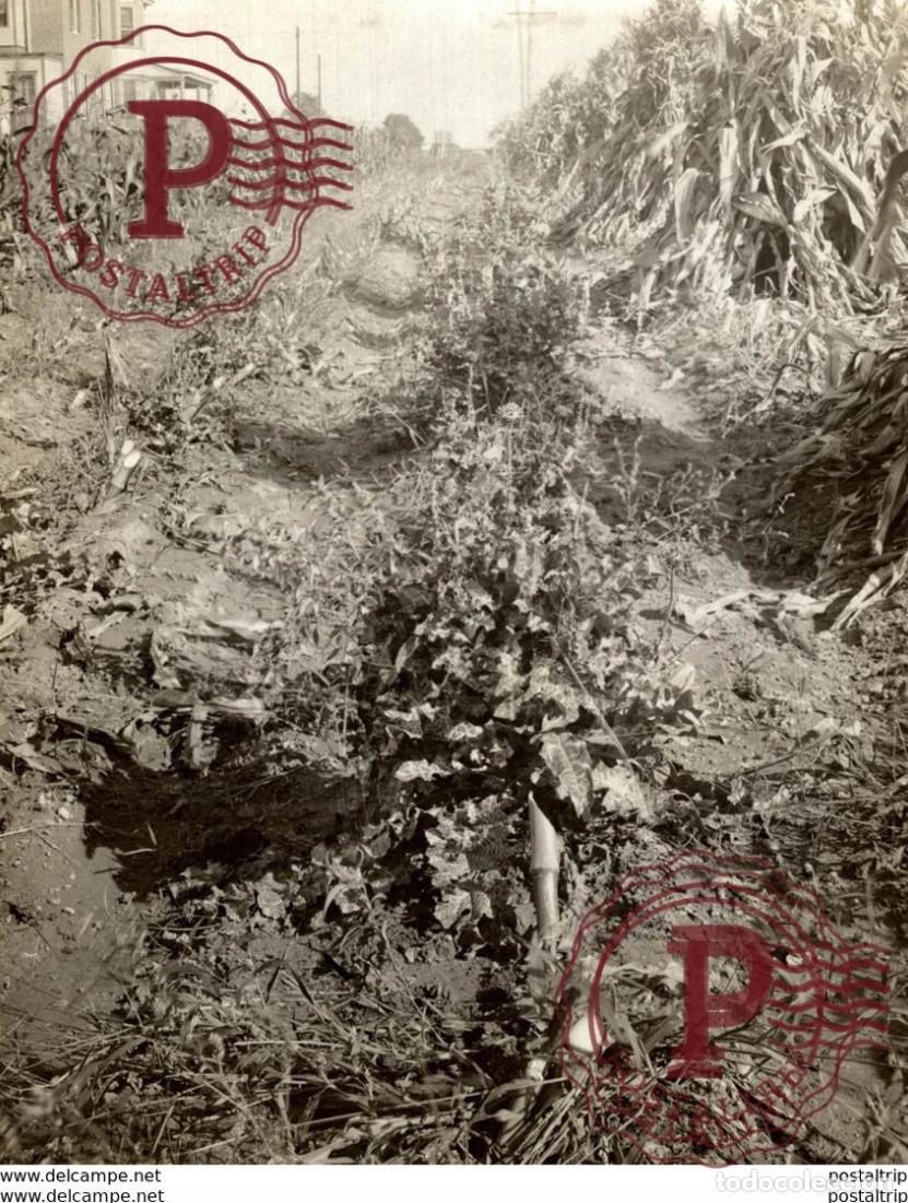 Fotograf&iacute;a antigua: AGRICULTURE LANDBOUW AGRICULTURA 19*15CM Fonds Victor FORBIN 1864-1947