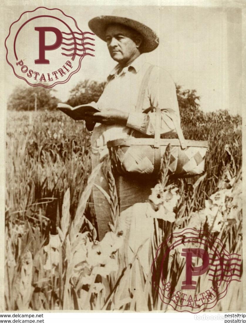 Fotograf&iacute;a antigua: AGRICULTURE LANDBOUW AGRICULTURA 21*16CM Fonds Victor FORBIN 1864-1947