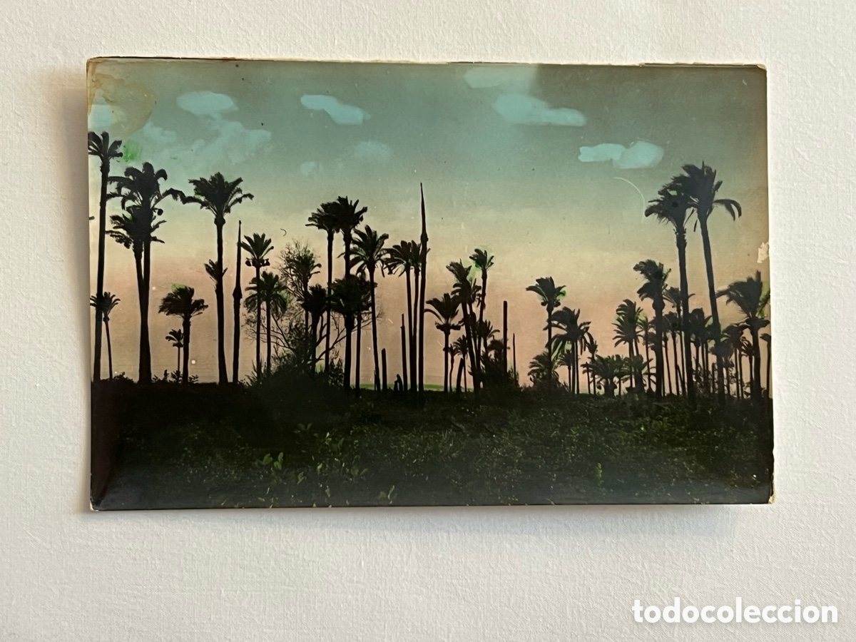 Fotograf&iacute;a antigua: CARCAGENTE (Valencia) Postal fotogr&aacute;fica Vista panor&aacute;mica Finca el &Aacute;guila, sin datos editor (a.1962)