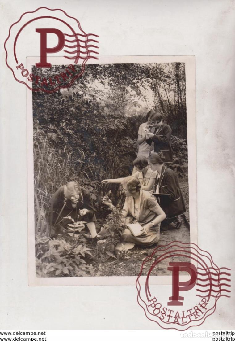 Fotografia antiga: REVEALING NATURES SECRETS SECRETS OF PLANTS LIFE LABORATORY OF PLANT PHYSIOLOGY 20*15CM Fonds Vic