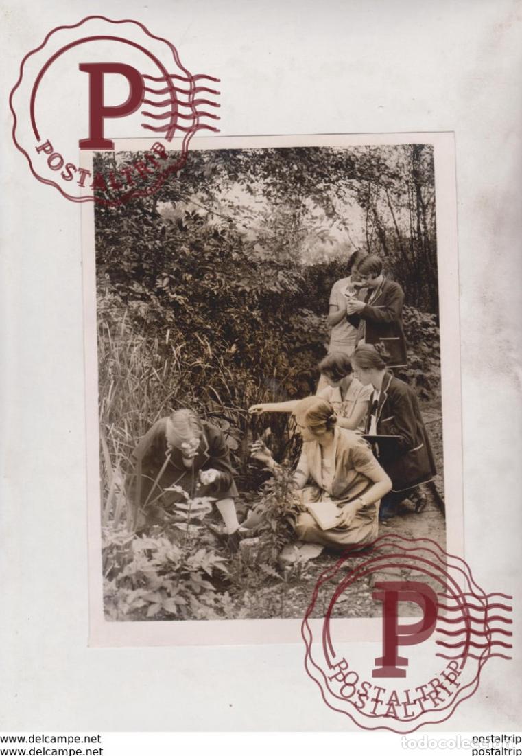 Fotografia antiga: GARDENS OF THE DAYS OF GOOD QUEEN BESS GREAT FOSTERS EGHAM QUEEN ELIZABETH 20*15CM Fonds Victor FO