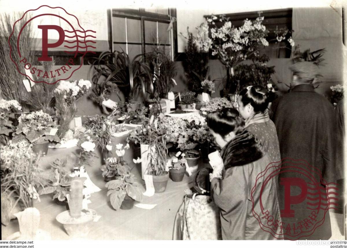 Fotografia antiga: SPRING FLOWER SHOW DEPARTMENT STORE JAPAN JAP&Oacute;N 16*12CM Fonds Victor FORBIN 1864-1947