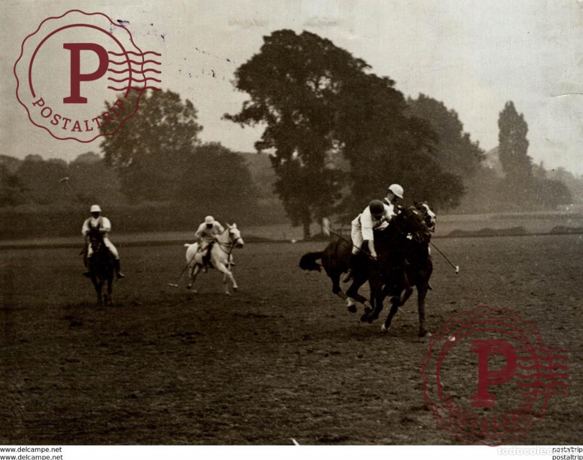 Antique Photography: CRACK SEE LADIES TOURNAMENT ROCKHAMPTON MAYFIELD PLAY POLO HORSES CHEVAL +++- 21*16CM&nbsp;Fonds Victor