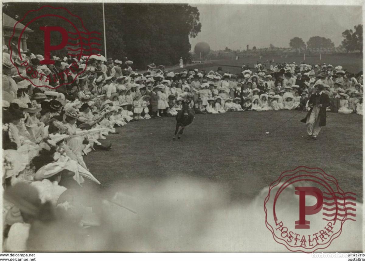 Fotografia antiga: PONY SHOW +++- 16*12CM&nbsp;Fonds Victor FORBIN 1864-1947