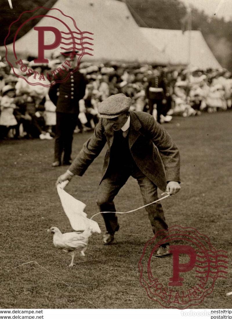 Photographie ancienne: CHICKEN RACE ENGLAND +++- 18*13CM&nbsp;Fonds Victor FORBIN 1864-1947