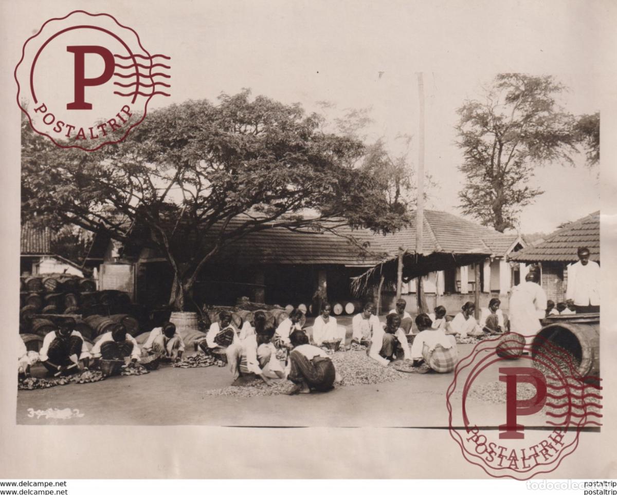 Alte Fotografie: CEYLON GRAPHITE INDUSTRY EAST INDIES COPRA PENCIL NATIVES ASIA ASIE +- 21*16CM&nbsp;Fonds Victor FORBIN
