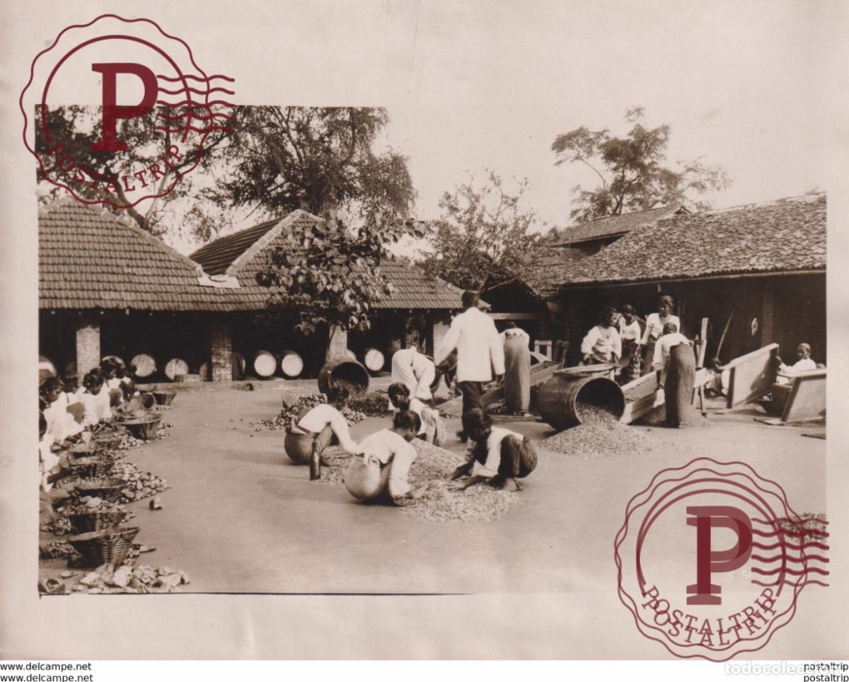 Alte Fotografie: CEYLON GRAPHITE INDUSTRY EAST INDIES COPRA PENCIL NATIVES ASIA ASIE +- 21*16CM&nbsp;Fonds Victor FORBIN