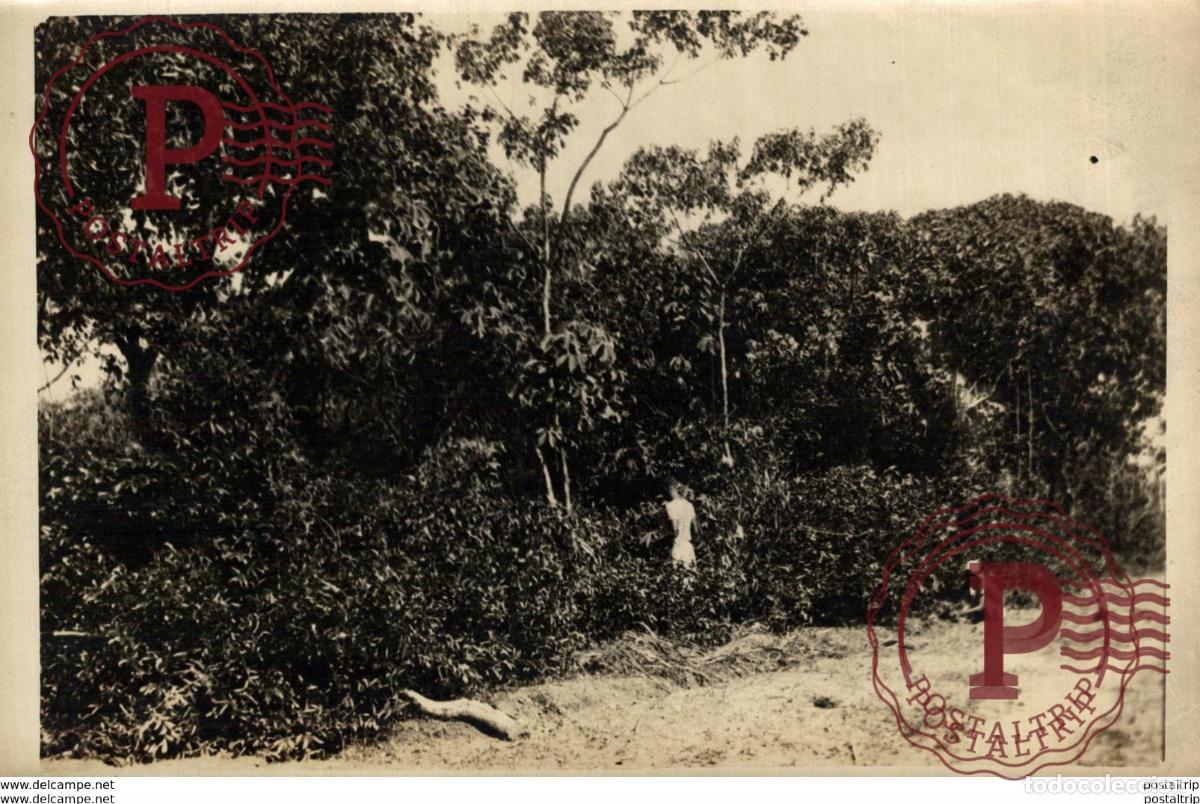 Fotografia antica: COLONIA +- 18*12CM&nbsp;Fonds Victor FORBIN 1864-1947