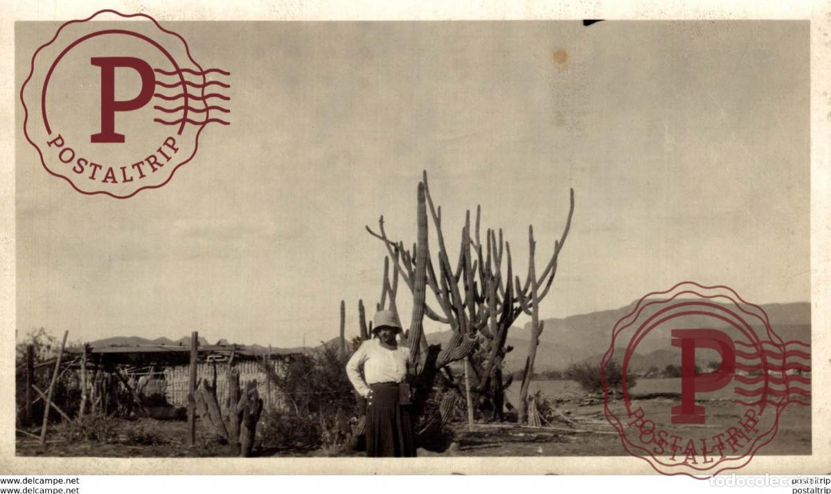 Fotografia antica: COLOMBIA +- 14*9CM&nbsp;Fonds Victor FORBIN 1864-1947