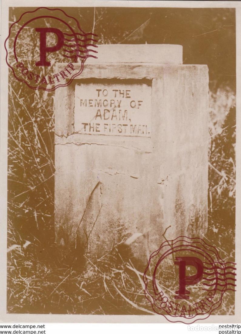 Photographie ancienne: THE GREATEST HEARO OF THEM ALL ADAM THE FIRST MAN JOHN R BRANDY BALTIMORE MD USA 21*16CM Fonds Vict