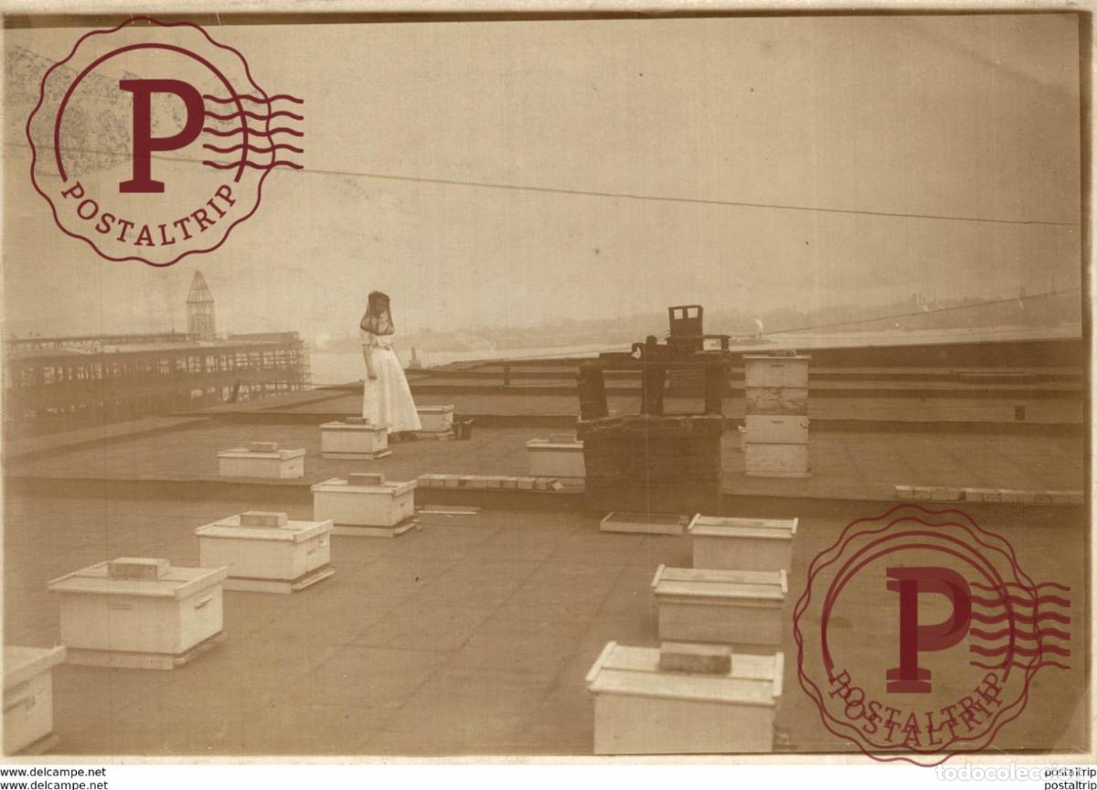 Fotografia antiga: USA IMKER 18*12CM Fonds Victor FORBIN 1864-1947