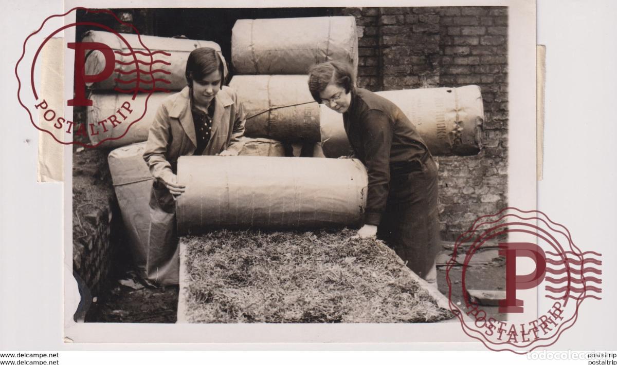 Fotografia antiga: SEAWEED TO MAKE LONDON BUILDING NOISELESS FROM CANADIAN WATERS 16*12CM Fonds Victor FORBIN 1864-1947