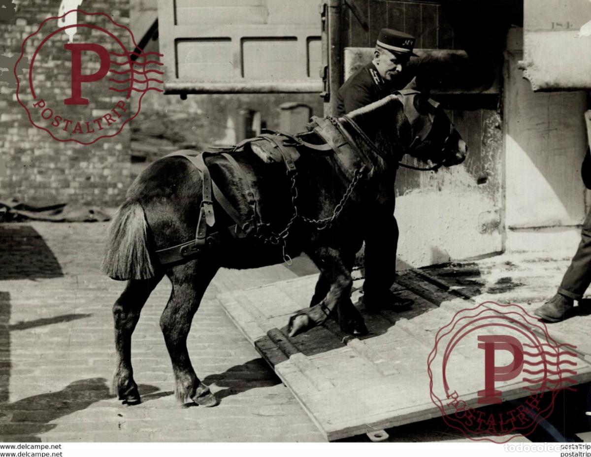 Fotografia antiga: SAVE THE PIT PONY COLLIERY NEAR SUNDERLAND MINING MINES MINA 21*16CM Fonds Victor FORBIN 1864-194