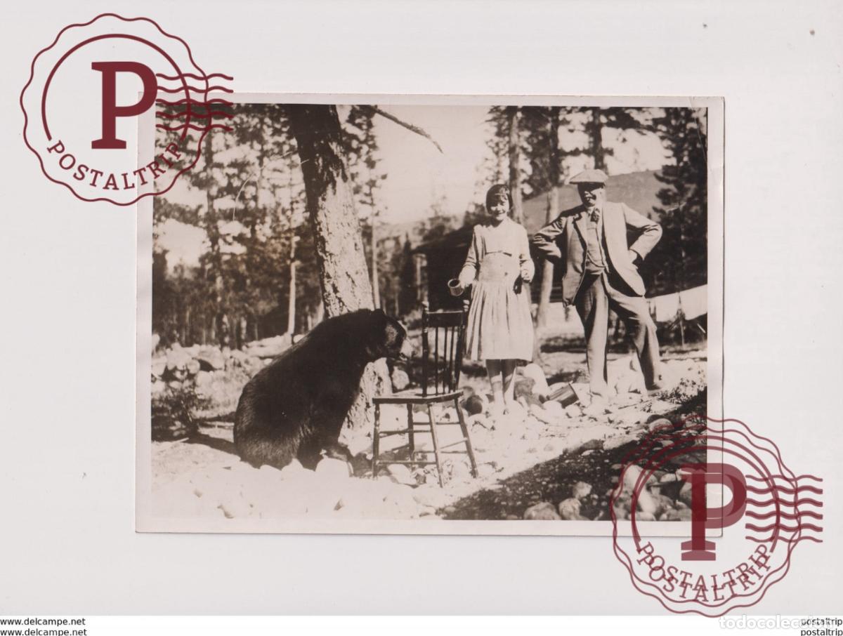 Alte Fotografie: ZOOS JASPER PARK LODGE BLACK BEAR J H THOMAS CANADA ANIMAUX ANIMALS ANIMALES 20*15CM Fonds Victor
