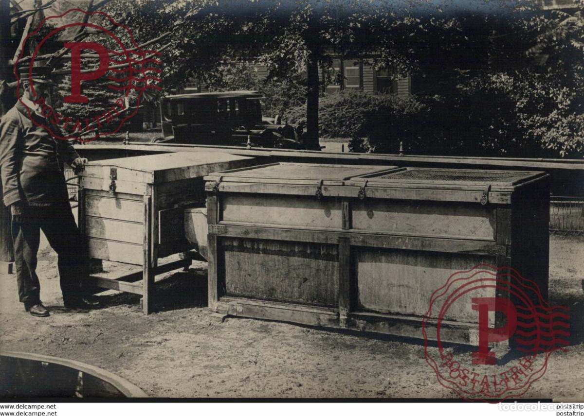 Alte Fotografie: ZOO ANIMAUX ANIMALS ANIMALES 16*12CM Fonds Victor FORBIN 1864-1947