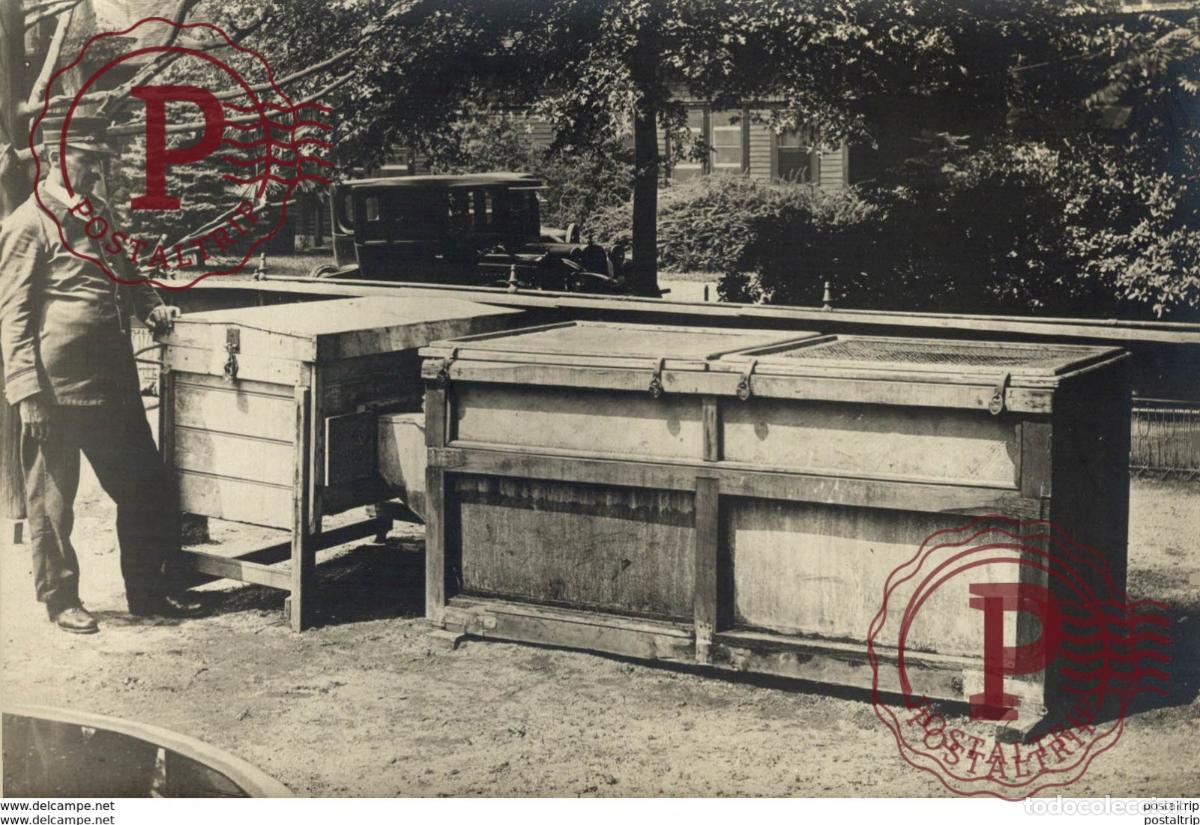 Alte Fotografie: ZOO ANIMAUX ANIMALS ANIMALES 16*12CM Fonds Victor FORBIN 1864-1947