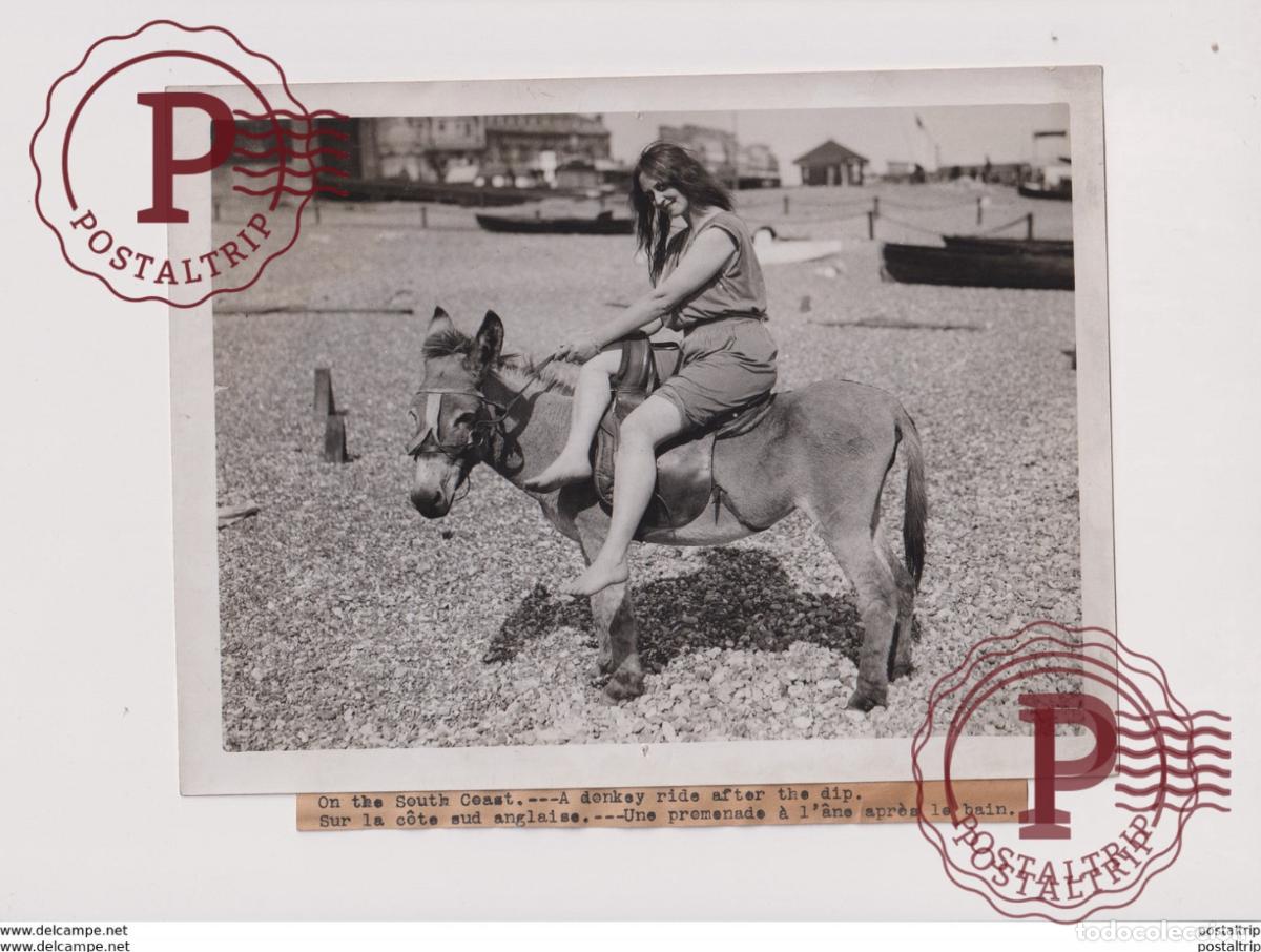 Alte Fotografie: DONKEY SOUTH COAST ANE EZEL ANIMAUX ANIMALS ANIMALES 21*16CM Fonds Victor FORBIN 1864-1947