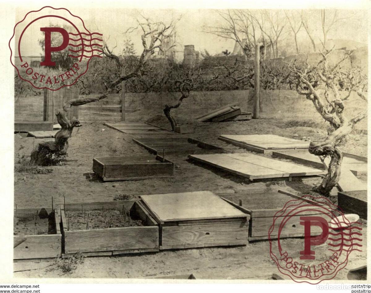 Fotograf&iacute;a antigua: AGRICULTURE LANDBOUW AGRICULTURA 12*10CM Fonds Victor FORBIN 1864-1947