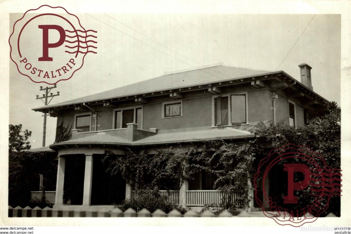 Fotograf&iacute;a antigua: FOUR LEAVES SPINELESS CACTUS BURBANKS HOME AGRICULTURE LANDBOUW AGRICULTURA 16*12CM Fonds Victor F