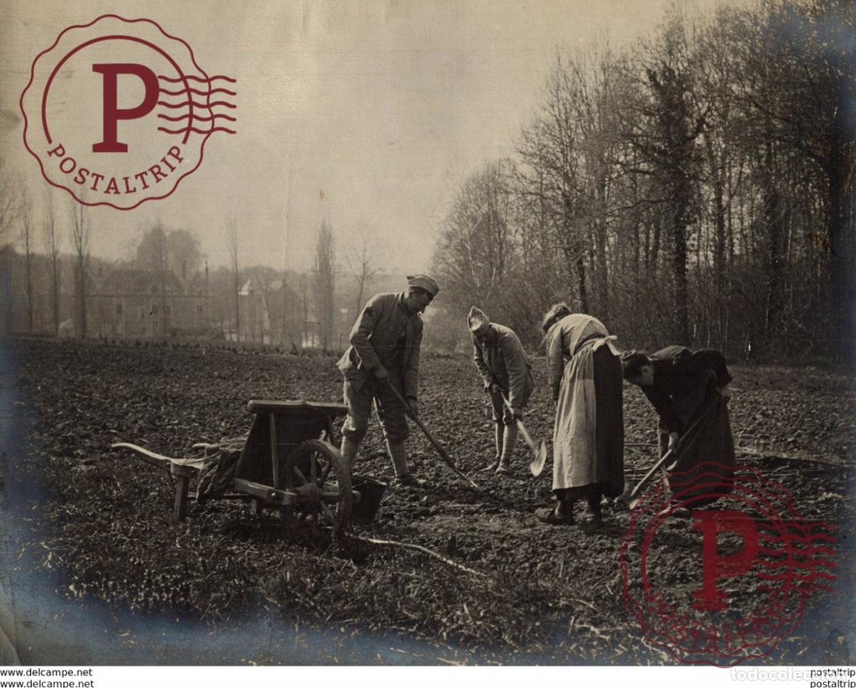 Fotograf&iacute;a antigua: AGRICULTURE LANDBOUW AGRICULTURA 24*18CM Fonds Victor FORBIN 1864-1947