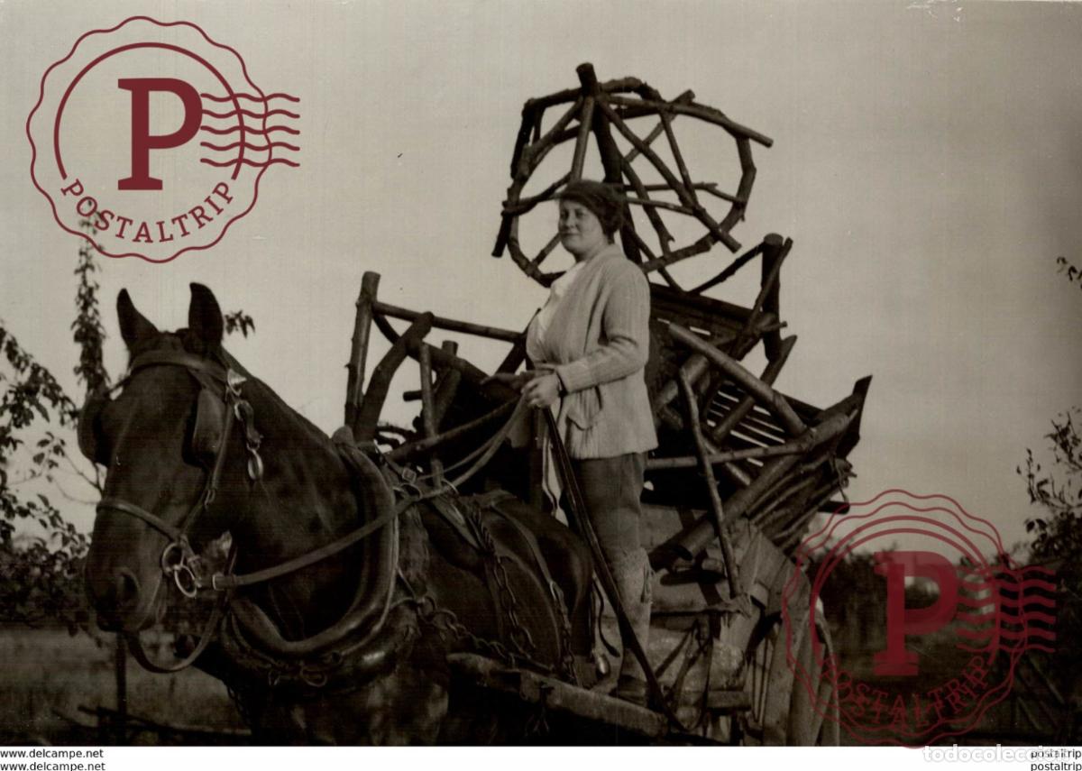 Fotograf&iacute;a antigua: liliam netteinghame talking a load of furniture from her estate HORSE CHEVAL 19*14CM Fonds Victor