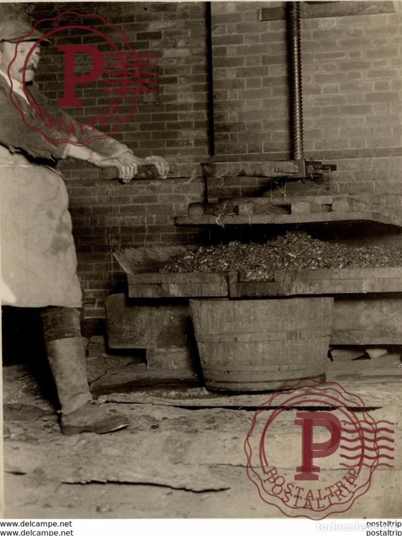 Fotograf&iacute;a antigua: PRESS 20*15CM Fonds Victor FORBIN 1864-1947