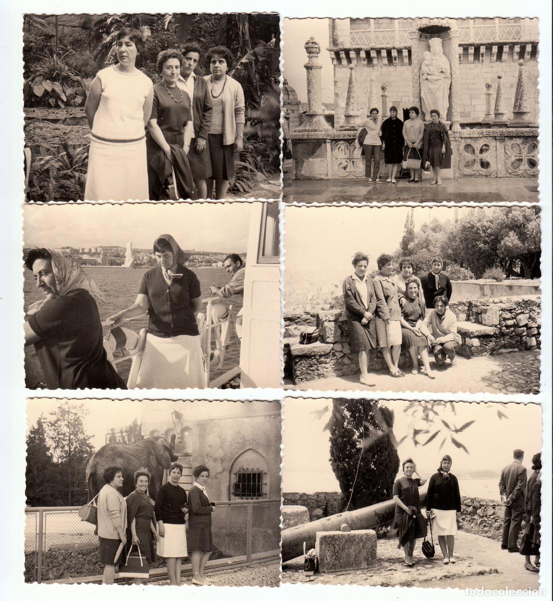 Fotograf&iacute;a antigua: Lote 8 fotos. Portugal. Lisboa. Zoo. A&ntilde;os 60 pc