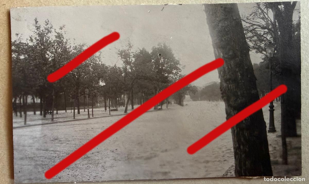 Photographie ancienne: Paseo de la Castellana Finales del XIX Principios del XX Fotografia Antigua