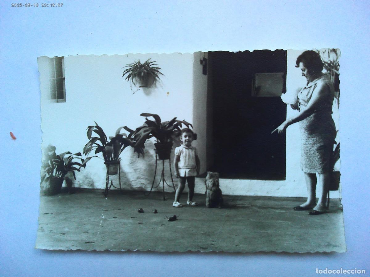 Fotografia antiga: FOTO DE MUJER , NI&Ntilde;A Y PERRO