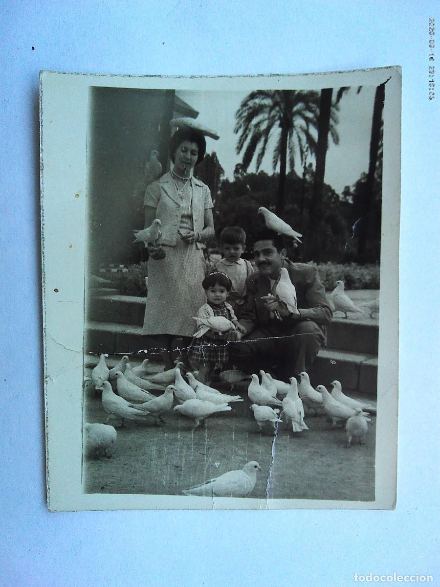 Alte Fotografie: MINUTERO DE FOTOGRAFO CALLEJERO DE FAMILIA EN PLAZA DE LAS PALOMAS DE SEVILLA