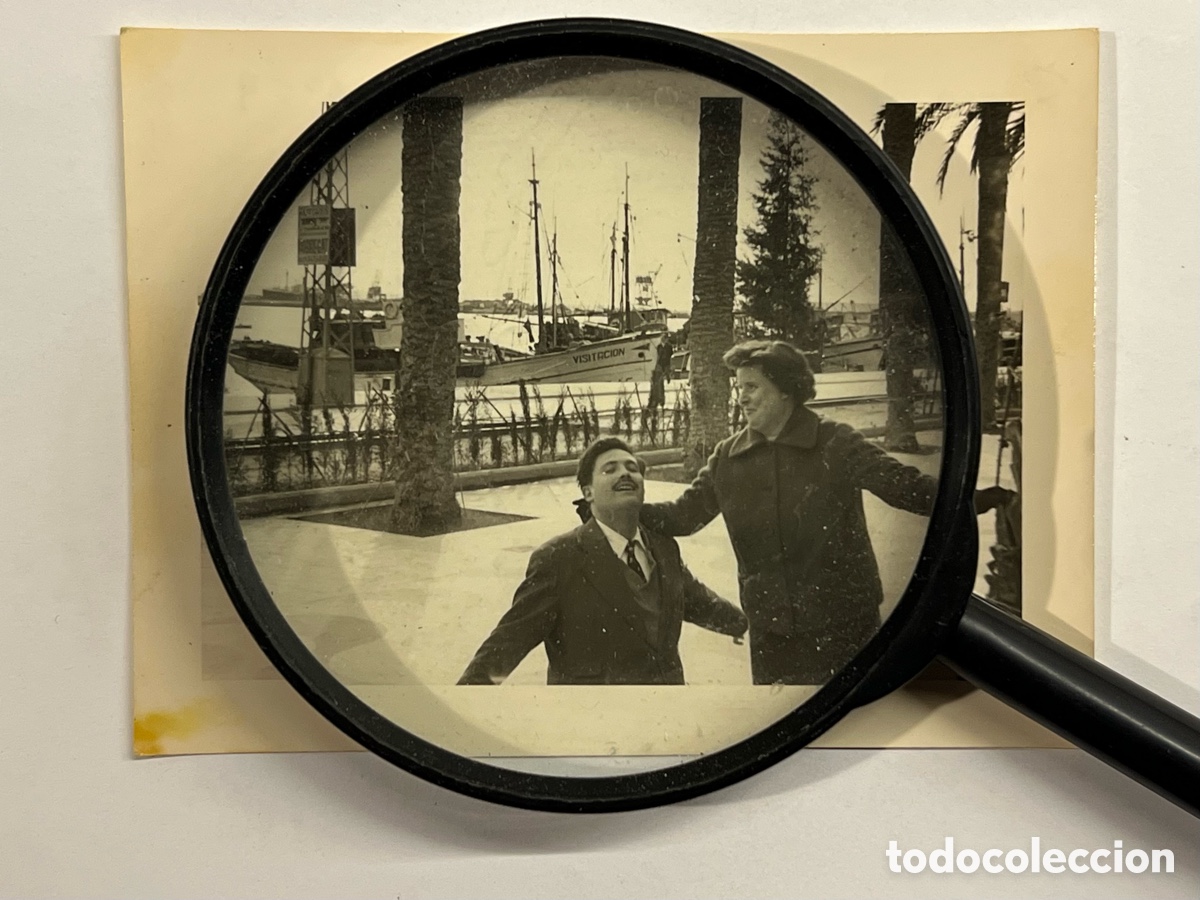Fotograf&iacute;a antigua: ALICANTE. Fotograf&iacute;a antigua Puerto. Paseo de las Palmeras.. (a.1959) Med&iacute;das: 8 x 12 cm